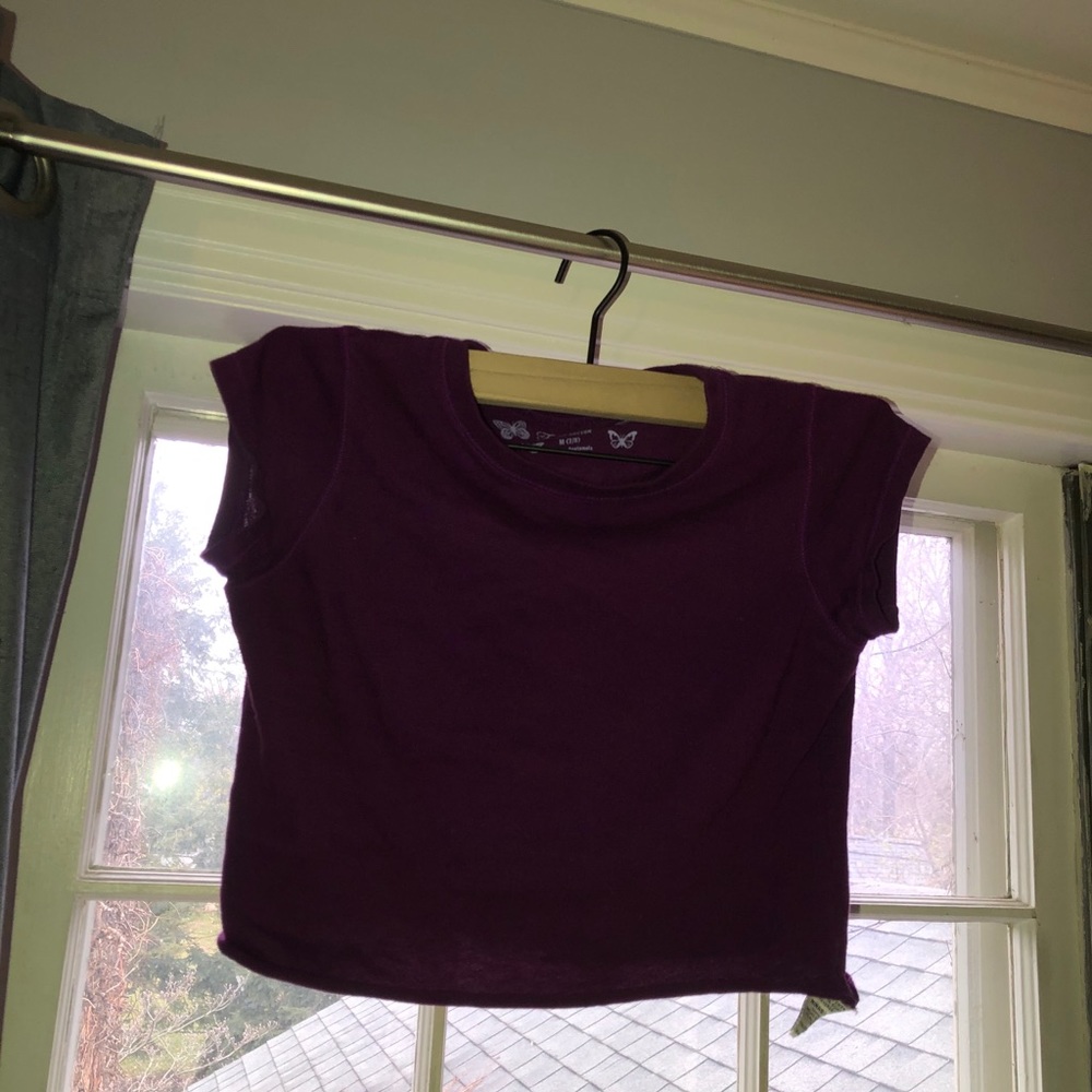 Purple Crop top